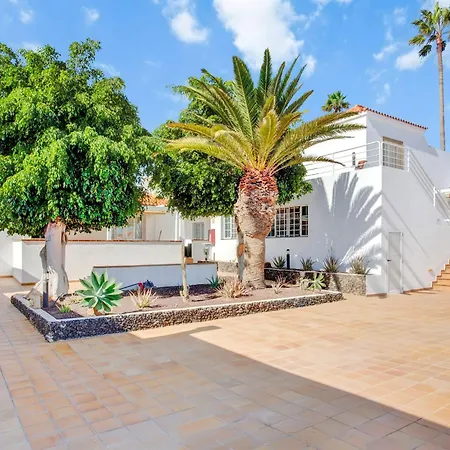 Silvic Serenada * Corralejo